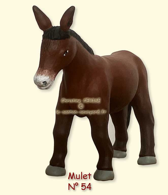 N°54 Mulet.jpg